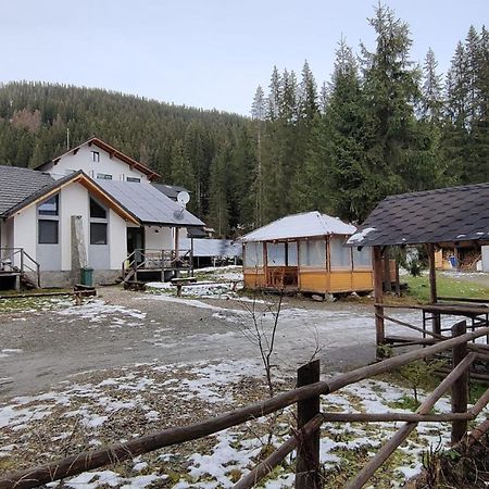 Complex Transalpina Lac Voineasa Dış mekan fotoğraf