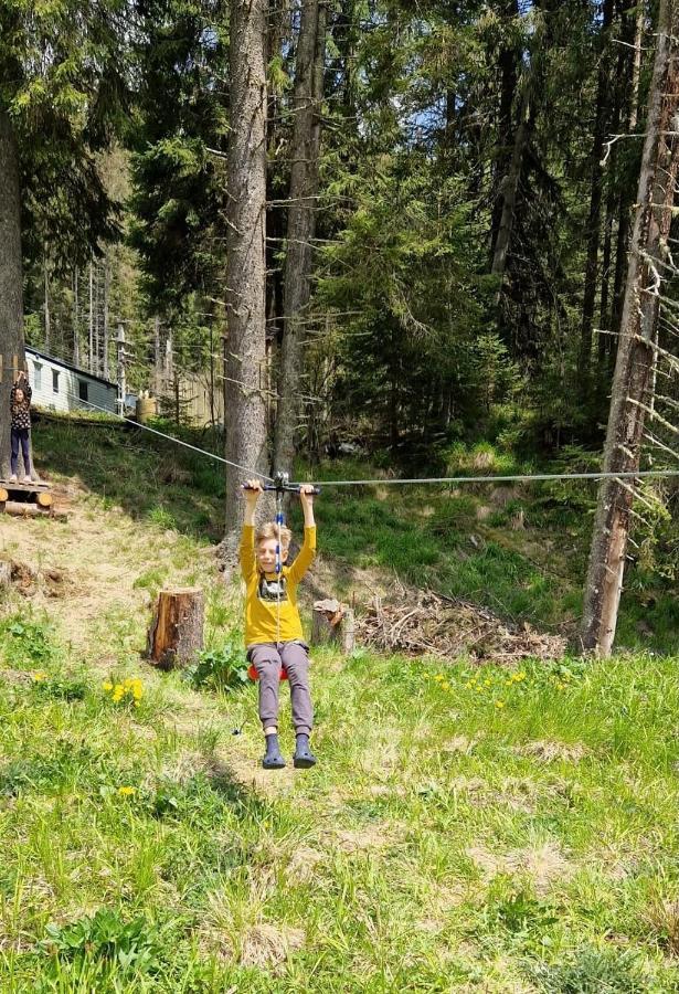 Complex Transalpina Lac Voineasa Dış mekan fotoğraf
