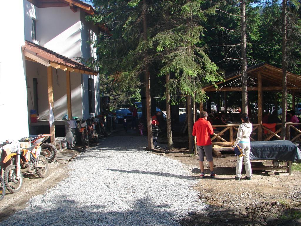 Complex Transalpina Lac Voineasa Dış mekan fotoğraf