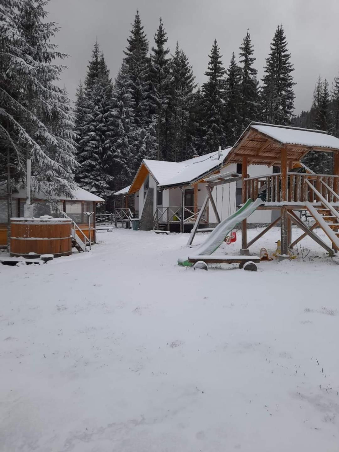 Complex Transalpina Lac Voineasa Dış mekan fotoğraf