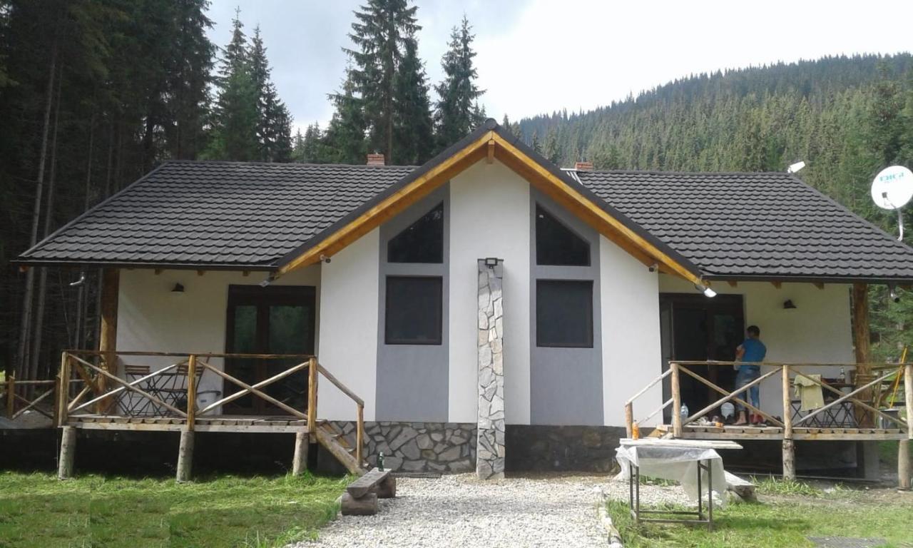 Complex Transalpina Lac Voineasa Dış mekan fotoğraf