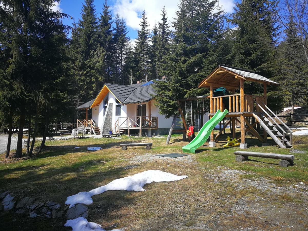 Complex Transalpina Lac Voineasa Dış mekan fotoğraf